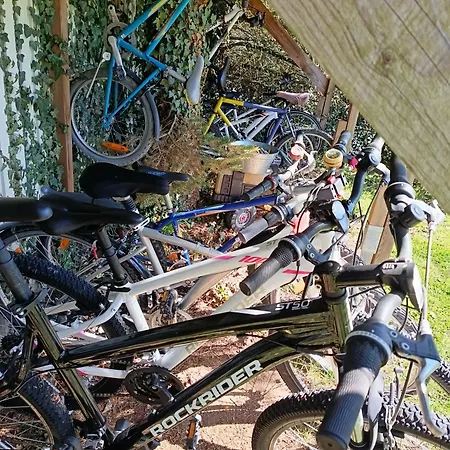 La Roulotte Du Parc *